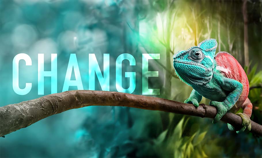 Ein buntes Chamäleon auf einem Ast mit dem Wort „CHANGE“ im Hintergrund steht für Change Management.